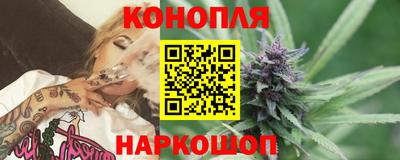 мдпв Татарск