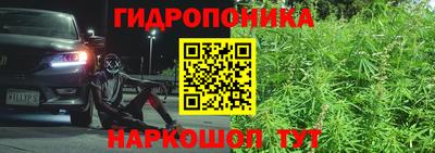 тгк Тара