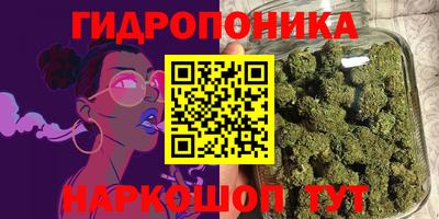 мдпв Татарск