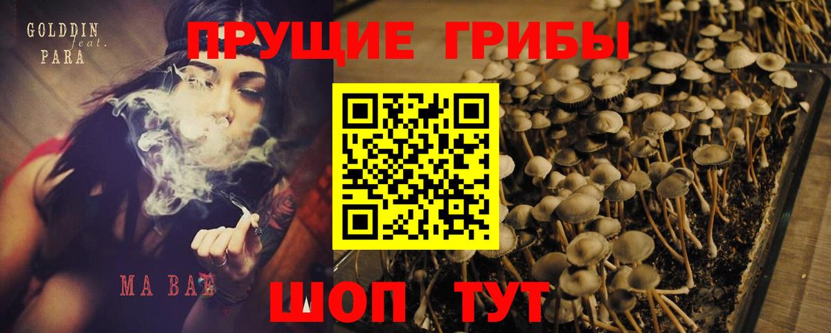 Краснокамск  Псилоцибиновые грибы ЛСД  даркнет сайт  Псилоцибиновые грибы прущие грибы  Вход с VPN 